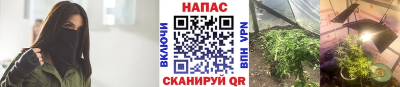Наркошоп Волосово Alpha-PVP 