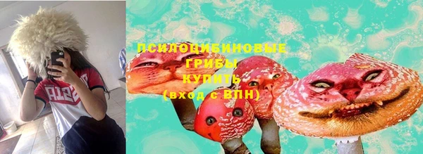твердый Балахна