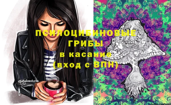 твердый Балахна