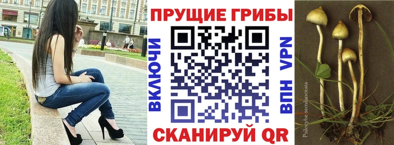 маркетплейс состав  Волосово  Галлюциногенные грибы Magic Shrooms  где можно купить   MEGA ТОР 